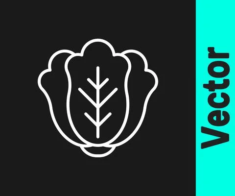 White line Fresh cabbage vegetable icon isolated on black background. Vector Ilustración de archivo
