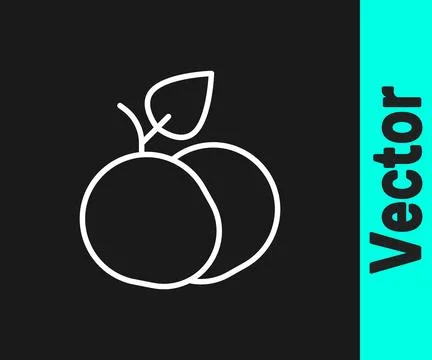 White line Mango fruit icon isolated on black background.  Vector Stock Illustration