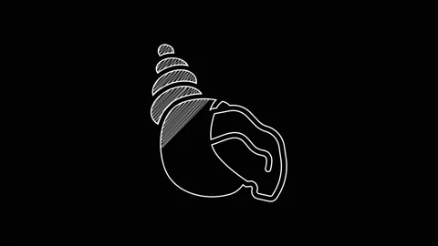 White line Scallop sea shell icon isolated on black background. Seashell sign Stock Footage 203578159