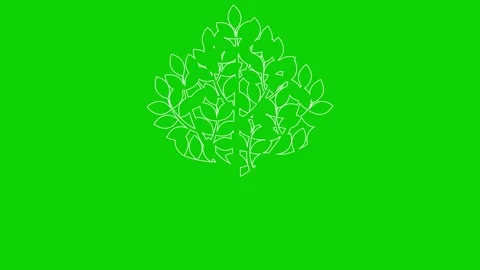 White line tree green Stock Footage 265432766