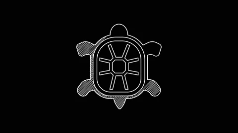 White line Turtle icon isolated on black background. 4K Video motion graphic Stock Footage 203579119
