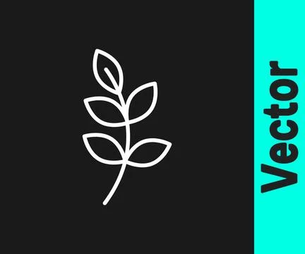 White line Willow leaf icon isolated on black background.  Vector Stock Illustration