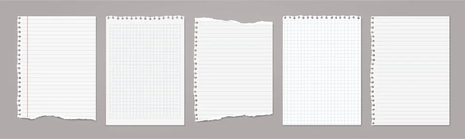 White lined and math note, notebook paper with torn edges stuck on light grey Stock Illustration