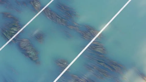 White lines electric infrastructure above river abstract with floading glone Video stock 277710899