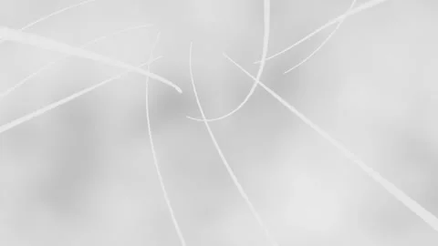 White lines moving on white background 스톡 동영상 254867614