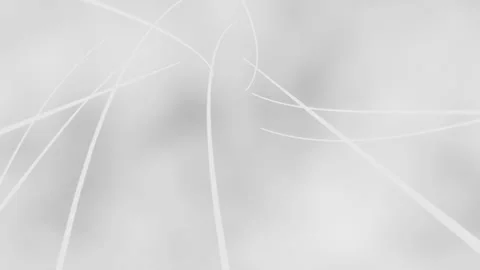 White Lines Travelling Background Loop Stock Footage 196035174