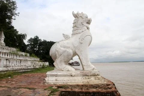 White lion Stock Photos