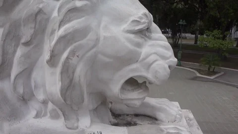 White lion statue Stock Footage 83585293