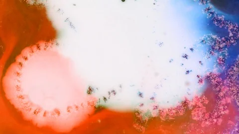 White liquid color bubbles explode in a red solution Stock Footage 119835929