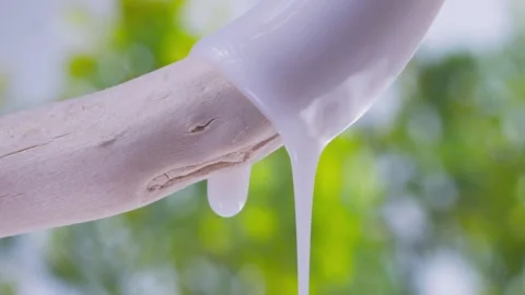 White liquid flows down a dry branch against a background of greenery 스톡 동영상 258321964