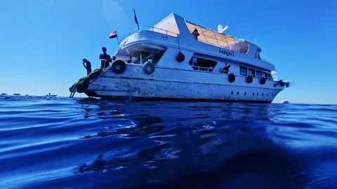 White liveaboard dive boat anchored on calm deep blue ocean under clear sky Stock Footage 334264803