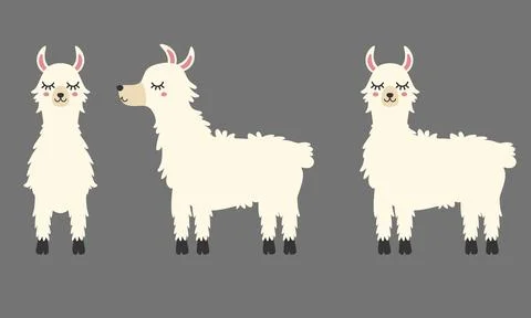 White Llama vector, Cute Llama Clipart, Cute Alpaca Stock Illustration