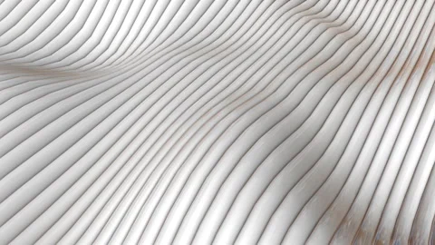 White loop abstract animated background. striped deforming wave surface. 3d rend Video stock 139502228