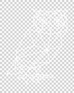 White low-poly wireframe owl is perching on transparent background, showing Stock Illustration