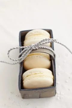 White macarons in a box Stock Photos
