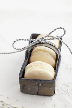 White macarons in a box Stock Photos