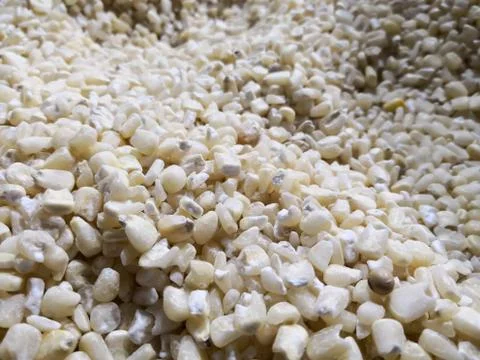 White maize corn cereal grain in a grocery store Stock Photos