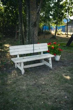A white, makeshift bench in the backyard of the site. A courtyard in the vi.. Stock Photos