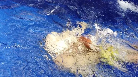 A white man and his two-year-old child are swimming underwater in a pool. Stock Footage 107906717