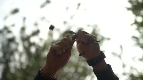 White Man Breaks Branch of Tree, Then Shatters Tree With His Hand 4k Video stock 180266219
