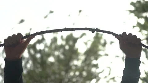 White Man Breaks Branch Of Tree, Then Shatters Tree With His Hand 4K Stock Footage 180404994