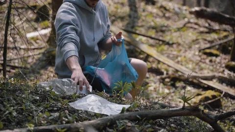 White man cleaning polluted forrest and picking plastic Stock Footage 105644819
