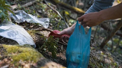 White man cleaning polluted forrest and picking plastic Stock Footage 105646704