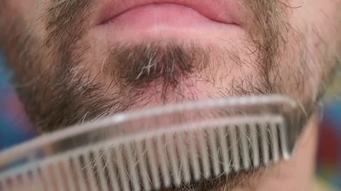 White man combs his gray untidy beard. Extreme close-up view Stock Footage 124716919