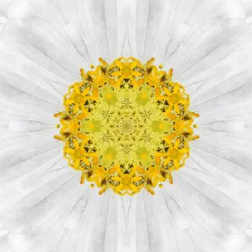 White Mandala Flower. Concentric Kalaidoscope Design Stock Photos