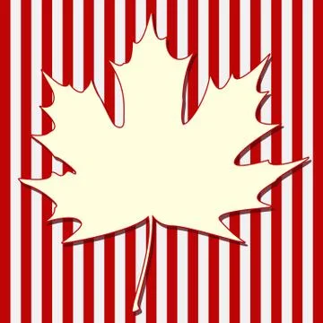 White maple leaf イラスト素材