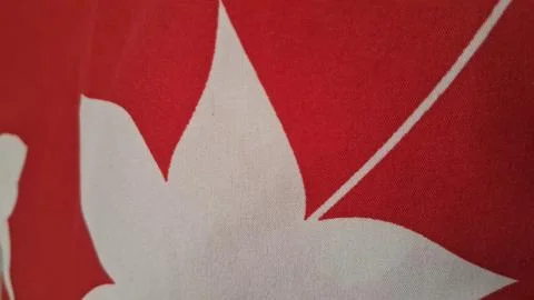 White maple leaf pattern printed on bright vibrant red fabric Stock Photos