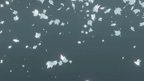 White maple leaves falling from the overcast sky like snowflakes. An abstract Stock Footage 205615376