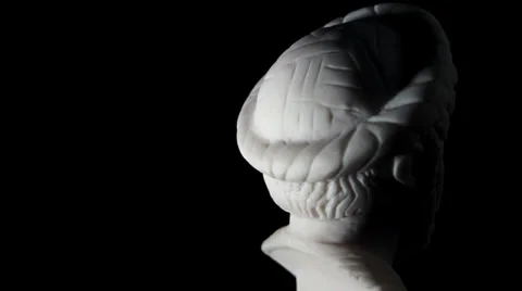 White marble bust Pythagoras of Samos Stock Footage 34178302