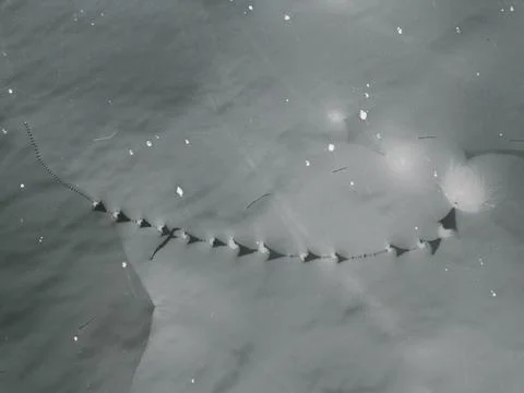 White marble pattern texture abstract background. Copy space for design art work Stock Photos