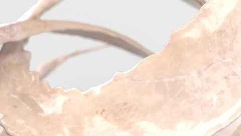 The White Marble Splash on White Background for Abstract Background concept.. Stock Illustration