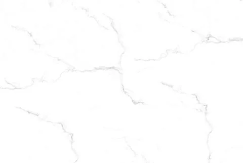 White marble texture featuring soft gray veining. 스톡 일러스트
