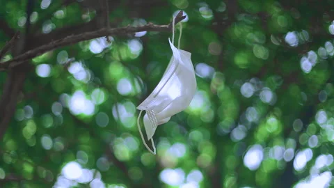 White Mask in a tree Stock Footage 159776933