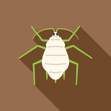 White mealybug insect pest crawling flat design icon Illustrazione stock