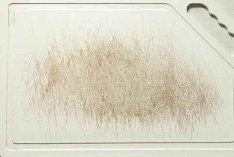 White meat board with cut marks and knife scratches. Brazil with high meat va Foto stock
