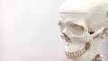 White medical skull HD Footage