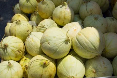 White melon Stock Photos