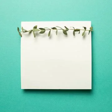 White memo pad, empty paper with eucalyptus leaves on mint green backgroun... Stock-Fotos
