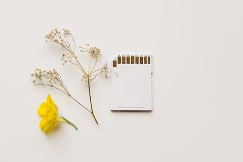 White memory card on white background with filed flowers. Eco friendly Stock Photos