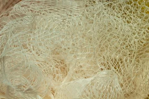 White mesh shower sponge Fotos de archivo