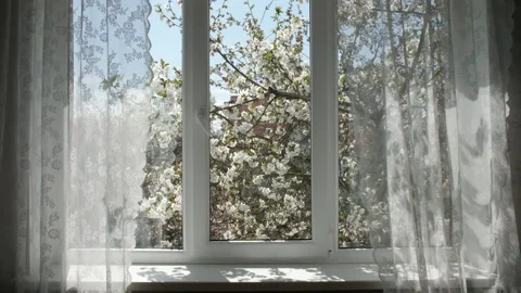 White metal-plastic window with window sill. Behind the glass is a cherry tree Stock Footage 181590637