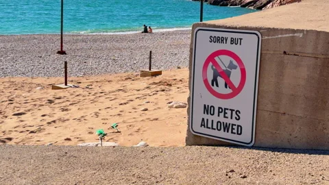 White metal sorry but no pets allowed warning sign mounted on concrete wall Stockbeeldmateriaal 335251853