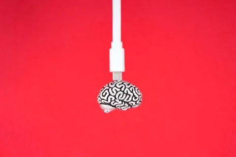 White micro usb cable connected to a small metal model of the human brain. 스톡 사진