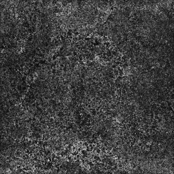 White microorganisms causing disease under strong microscope magnification Stock Photos