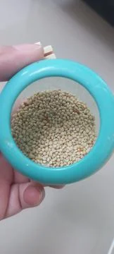 White millet Stock Photos