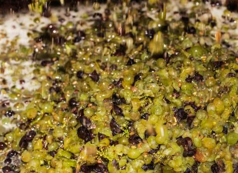 White minced grapes Stock Photos